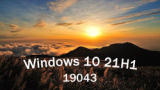 : Microsoft Windows 10 Pro 21H1 Build 19043.867 (x64)