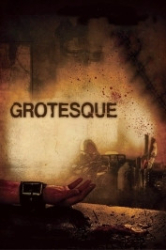 : Grotesque DC 2009 German 800p AC3 microHD x264 - RAIST