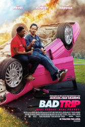 : Bad Trip 2020 German Dl 720p Web x264-Ohd