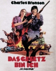 : Mr. Majestyk - Das Gesetz bin ich 1974 German 1040p AC3 microHD x264 - RAIST