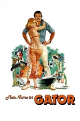 : Mein Name ist Gator 1976 German 1080p AC3 microHD x264 - RAIST