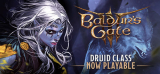 : Baldurs Gate 3 Early Access v4 1 104 3536-Gog