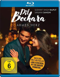 : Armes Herz Dil Bechara German 2020 Ac3 Bdrip x264-UniVersum