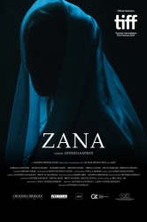 : Zana 2019 German Subbed 720p WebriP x264-Rwp