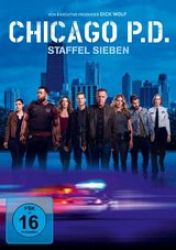 : Chicago P.D. Staffel 1 2014 German AC3 microHD x264 - RAIST