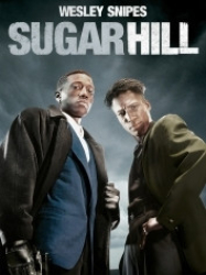 : Sugar Hill 1993 German 1040p AC3 microHD x264 - RAIST