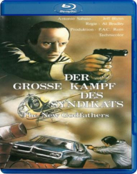 : Der grosse Kampf des Syndikats German 1979 Ac3 Bdrip x264-SpiCy