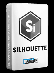 : Boris FX Silhouette 2021.0.0 (x64)