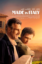 : Made in Italy Auf die Liebe 2020 German Ac3D Dl 720p BluRay x264-Ps