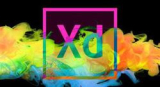 : Adobe XD 41.0.12 (x64)