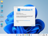 : Microsoft Windows 11 All-in-One Build 21996.1 x64