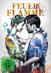 : Feuer und Flamme 2019 German 800p AC3 microHD x264 - RAIST