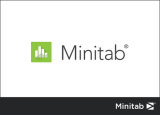 : Minitab v20.3 (x64)