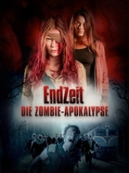 : Endzeit - Die Zombie Apokalypse 2018 German 800p AC3 microHD x264 - RAIST