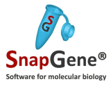 : SnapGene v5.3.1 (x64)