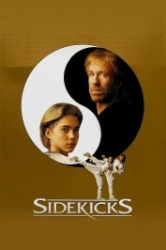 : Sidekicks 1992 German 1080p AC3 microHD x264 - RAIST