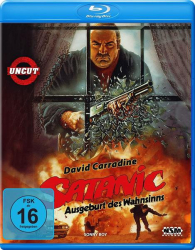 : Satanic - Ausgeburt der Hoelle German 1989 Ac3 Bdrip x264-SpiCy