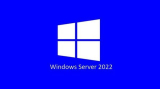 : Microsoft Windows Server 2022 21H2 Build 20348.169 (x64)