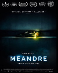 : Meander - Survival Instinct 2020 German 800p microHD x264 - RAIST