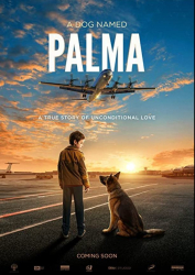 : Ein Hund namens Palma 2021 German 800p microHD x264 - RAIST