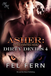 : Fel Fern - Asher: Gebranntes Herz (Dirty Devils 4