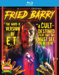 : Fried Barry 2020 German Dd51 Dl BdriP x264-Jj