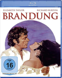 : Brandung German 1968 Ac3 BdriP x264-Savastanos