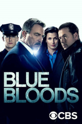 : Blue Bloods Crime Scene New York S11E06 German Dl 1080p Web x264-WvF