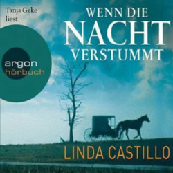 : Linda Castillo - Kate Burkholder 3 - Wenn die Nacht