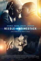 : Needle in a Timestack 2021 German 1080p microHD x264 - RAIST