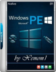 : Windows 11 PE EFI Native