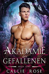 : Rose, Callie - Akademie der Gefallenen - Buch Eins