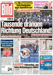 : Bild vom 09 November 2021