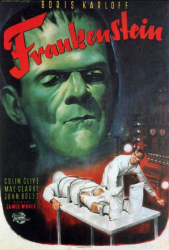 : Frankenstein 1931 German 1080p microHD x264 - RAIST