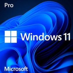 : Windows 11 All in One 15 in 1 & Office Pro Plus 2021 Deutsch 64 Bit (2021)