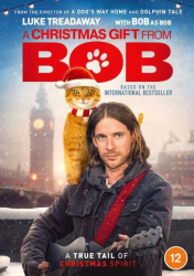 : Ein Geschenk von Bob 2020 German Ac3 WebriP x264-Ede