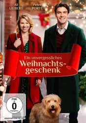 : Ein unvergessliches Weihnachtsgeschenk 2017 German Hdtvrip x264-NoretaiL