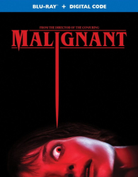 : Malignant 2021 German Dd51 Dl BdriP x264-Jj