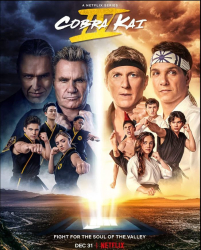 : Cobra Kai Staffel 4 2021 German AC3 microHD x264 - MBATT