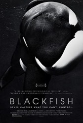 : Blackfish German Subbed 1080p BluRay x264-EPHEMERiD