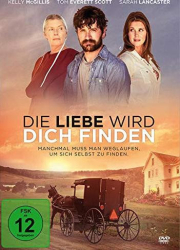 : Die Liebe wird dich finden German 2014 Ac3 Dvdrip x264-Savastanos