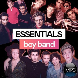 : Boy Band Essentials (2022)