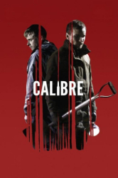 : Calibre 2018 German Ac3 Webrip x264-ZeroTwo