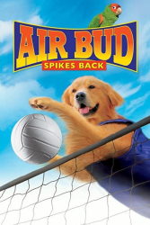 : Air Bud 5 – Vier Pfoten schlagen auf 2003 German 1080p microHD x264 - MBATT