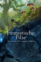 : Fantastische Pilze Die magische Welt zu unseren Fuessen 2019 Doku German Dl 1080p BluRay Avc-SpiRiTbox