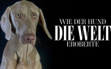 : Wie der Hund die Welt eroberte German Doku 720p Hdtv x264-Pumuck