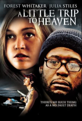 : A little Trip to Heaven 2005 German 1080p microHD x264 - MBATT