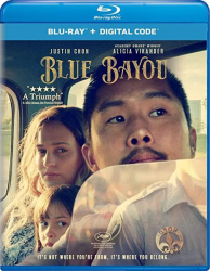 : Blue Bayou 2021 German Ld Bdrip x264-Prd