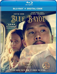 : Blue Bayou 2021 German DL LD 720p BluRay x264 - FSX