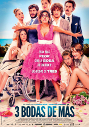 : 3 Hochzeiten zu viel German 2013 AC3 BDRiP x264-XF